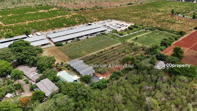 ขาย - Land Khao Yai 14 rai, นครราชสีมา