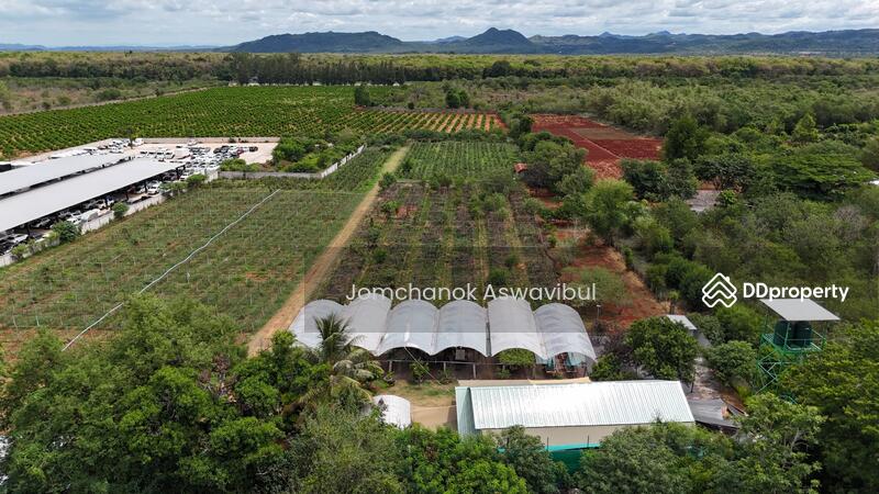 ขาย - Land Khao Yai 14 rai, นครราชสีมา