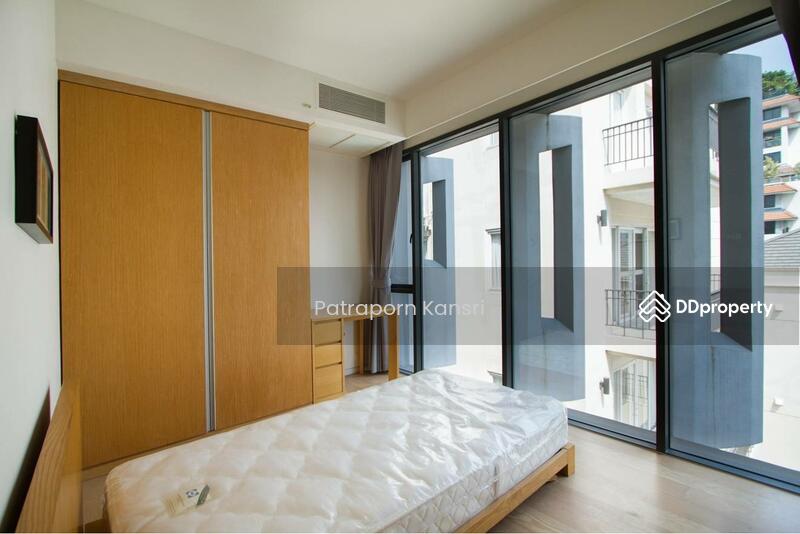 For Sale - Siamese Gioia, Bangkok