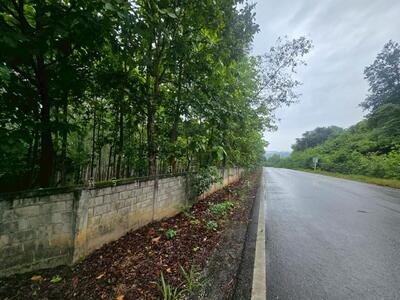 ขาย - ตำบลทากาศ อำเภอแม่ทา จังหวัดลำพูน, ลำพูน