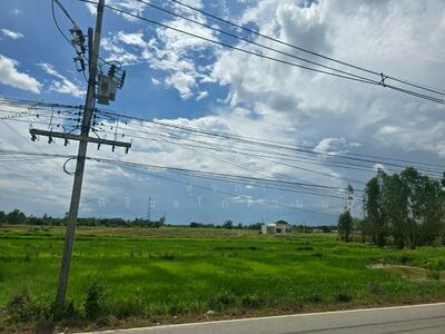 ขาย - ป่าสัก เมืองลำพูน, ลำพูน