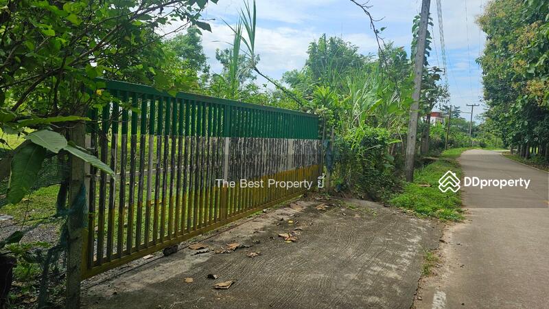 ขาย - ที่ดินสันทราย เชียงใหม่, เชียงใหม่