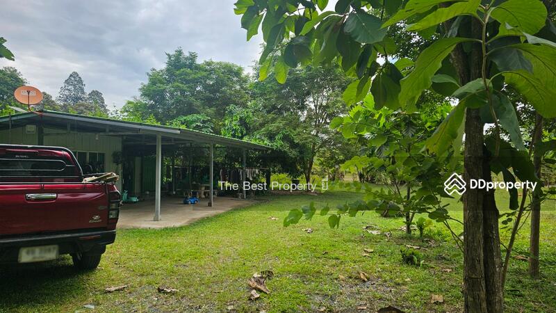 ขาย - ที่ดินสันทราย เชียงใหม่, เชียงใหม่