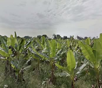 ขาย - ที่ดิน 4 ไร่ 100 ตารางวา ติดถนนเลี่ยงเมือง ( BY Pass ) นครสวรรค์-ตาก, นครสวรรค์