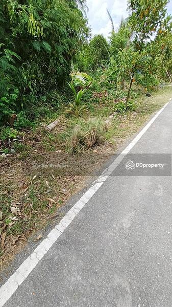 ขาย - ที่ดินสร้างบ้านใกล้ม.มหิดลศาลายาและพุทธมณฑล นครปฐม, นครปฐม