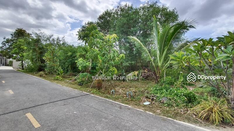For Sale - Residential Land Plot near Mahidol Salaya Central Salaya, Nakhon Pathom