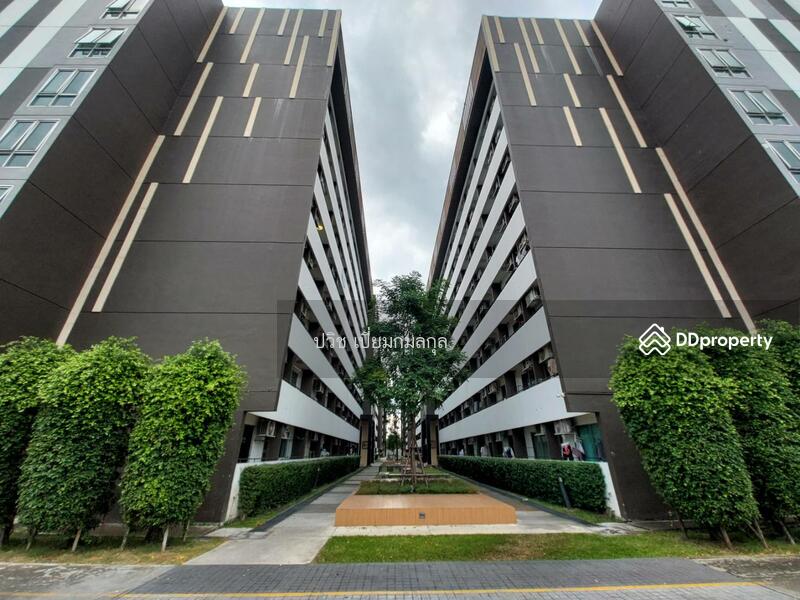 ให้เช่า - Plum Condo Phaholyothin 89 : พลัมคอนโด พหลโยธิน 89, ปทุมธานี