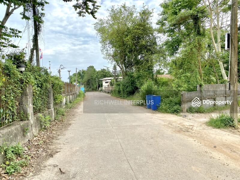 For Sale - Land for sale in Ban Laeng, 101 sq m., next to a filled concrete road,, Rayong