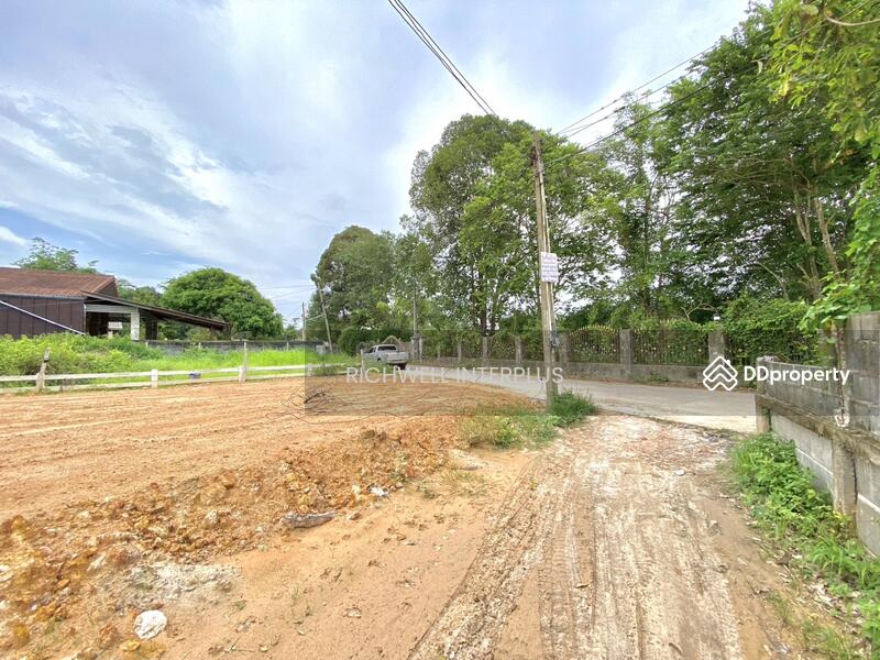 For Sale - Land for sale in Ban Laeng, 101 sq m., next to a filled concrete road,, Rayong