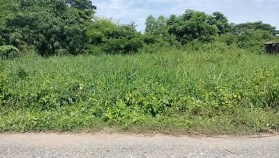 ขาย - ที่ดินอรัญญิก พิษณุโลก, พิษณุโลก