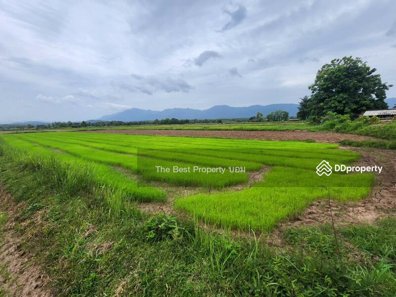 For Sale - ที่ดินท่าจำปี พะเยา, Phayao