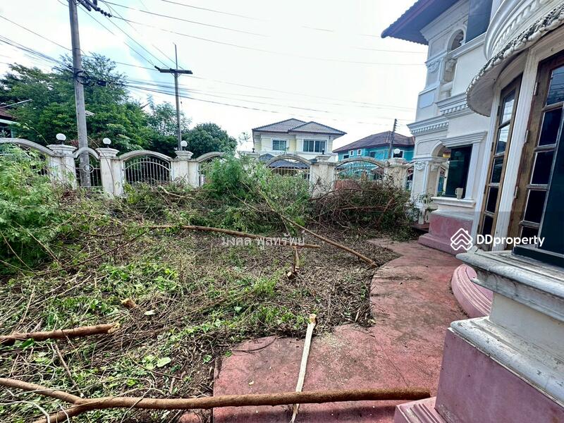 For Sale - Pattara Niwet, Pathum Thani