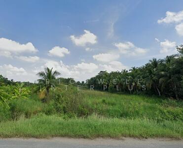 ขาย - ขายที่ดินดอนฉิมพลี 2 ไร่ ติดคลอง17 ติดถนนเส้น4016 อ.บางน้ำเปรี้ยว, ฉะเชิงเทรา