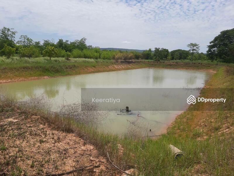 ขาย - ก, หนองบัวลำภู