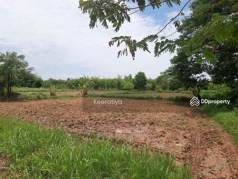 ขาย - ก, หนองบัวลำภู