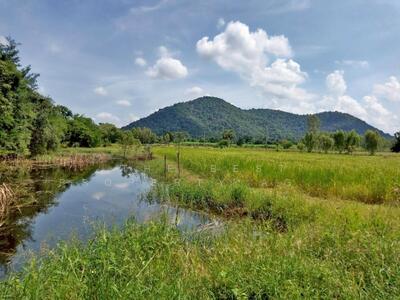 ขาย - ที่ดินพยุหะคีรี นครสวรรค์, นครสวรรค์