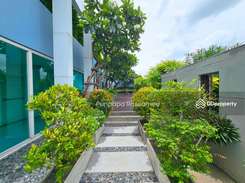 For Sale - Wish @ Samyan, Bangkok