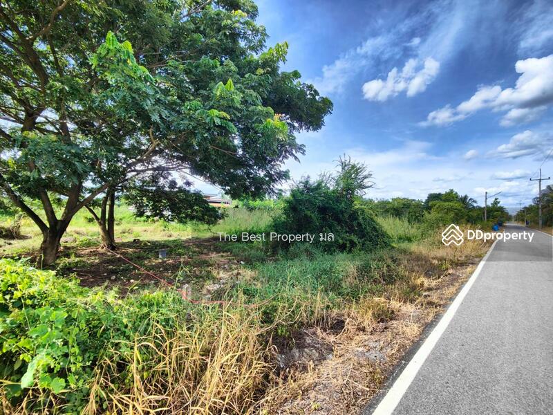 ขาย - ที่ดินสามพราน นครปฐม, นครปฐม