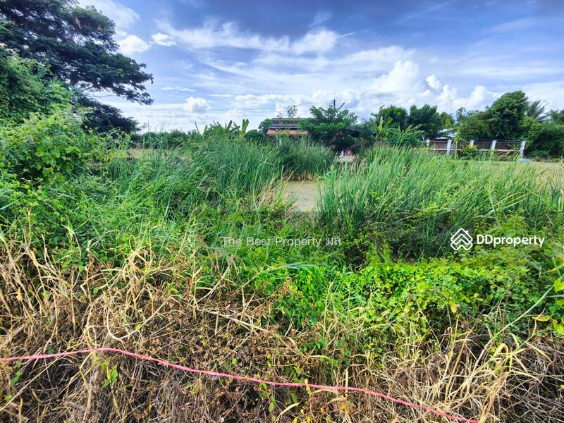 ขาย - ที่ดินสามพราน นครปฐม, นครปฐม