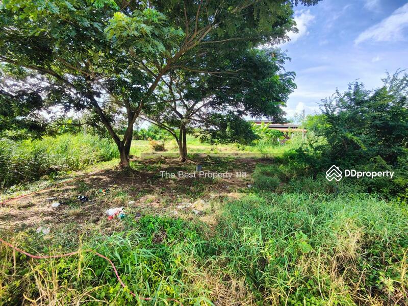 ขาย - ที่ดินสามพราน นครปฐม, นครปฐม