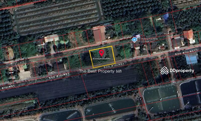 ขาย - ที่ดินสามพราน นครปฐม, นครปฐม