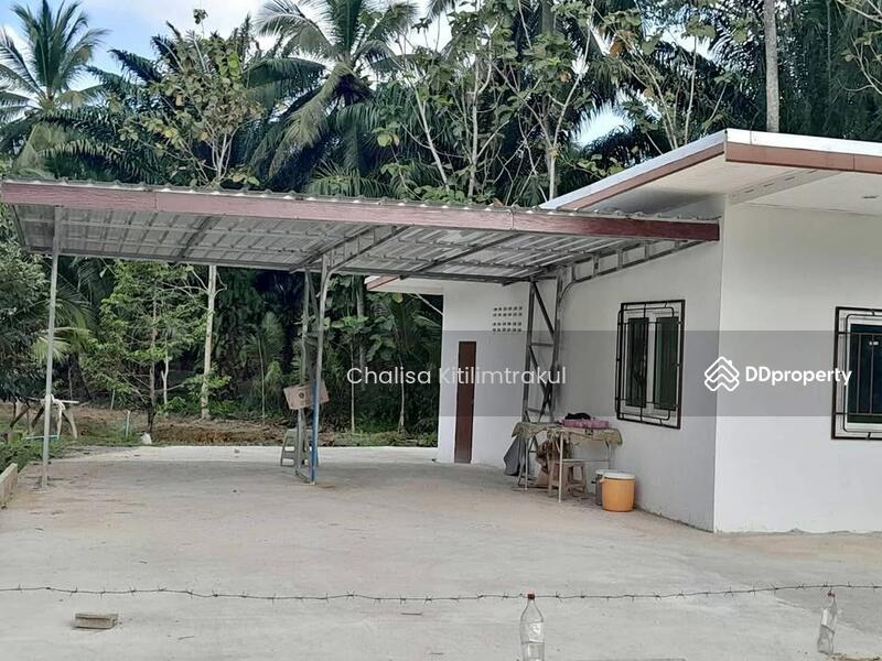 ขาย - บ้าน 1-ห้องนอน, สุราษฎร์ธานี