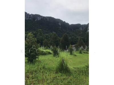 ขาย - บ้าน 1-ห้องนอน, สุราษฎร์ธานี