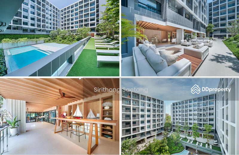 ให้เช่า - Dusit D2 Residences Hua Hin : ดุสิตดีทู เรสซิเดนเซส หัวหิน, ประจวบคีรีขันธ์
