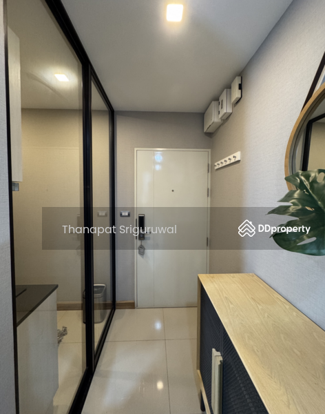 For Rent - Tree Condo Sukhumvit 50, Bangkok