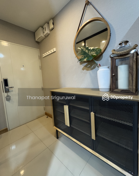 For Rent - Tree Condo Sukhumvit 50, Bangkok