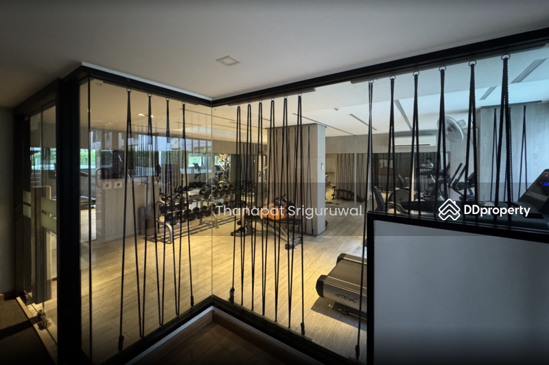 For Rent - Tree Condo Sukhumvit 50, Bangkok