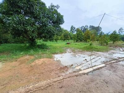 ขาย - ขายที่ดินเนินหอม 9 ไร่ พร้อมสวนทุเรียนและส้มโอมีบ่อน้ำ ใกล้แยกหนองชะอม-3กม., ปราจีนบุรี