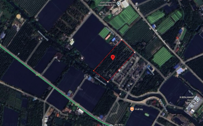 ขาย - ขายด่วน! ที่ดินพร้อมสวนมะพร้าวบ้านแพ้วกว่า 8 ไร่! ราคาดี ในหนองนกไข่ กระทุ่มแบน สมุทรสาคร, สมุทรสาคร