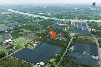 ขาย - ขายด่วน! ที่ดินพร้อมสวนมะพร้าวบ้านแพ้วกว่า 8 ไร่! ราคาดี ในหนองนกไข่ กระทุ่มแบน สมุทรสาคร, สมุทรสาคร