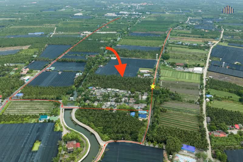 ขายด่วน! ที่ดินพร้อมสวนมะพร้าวบ้านแพ้วกว่า 8 ไร่! ราคาดี ในหนองนกไข่ กระทุ่มแบน สมุทรสาคร, Samut Sakhon, Nong Nok Khai, Krathum Baen, Samut Sakhon, , 13,698 sqm, Land For Sale, by คุณจา, 60123084 - DDproperty.com