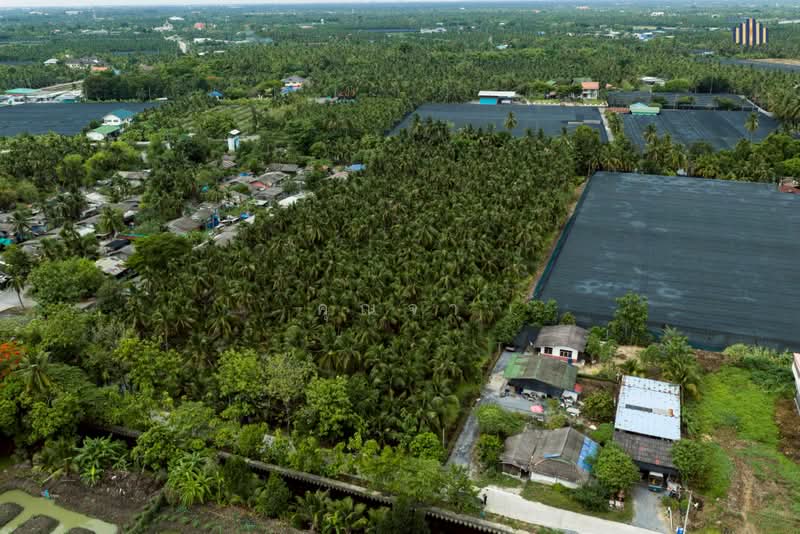 ขายด่วน! ที่ดินพร้อมสวนมะพร้าวบ้านแพ้วกว่า 8 ไร่! ราคาดี ในหนองนกไข่ กระทุ่มแบน สมุทรสาคร, Samut Sakhon, Nong Nok Khai, Krathum Baen, Samut Sakhon, , 13,698 sqm, Land For Sale, by คุณจา, 60123084 - DDproperty.com