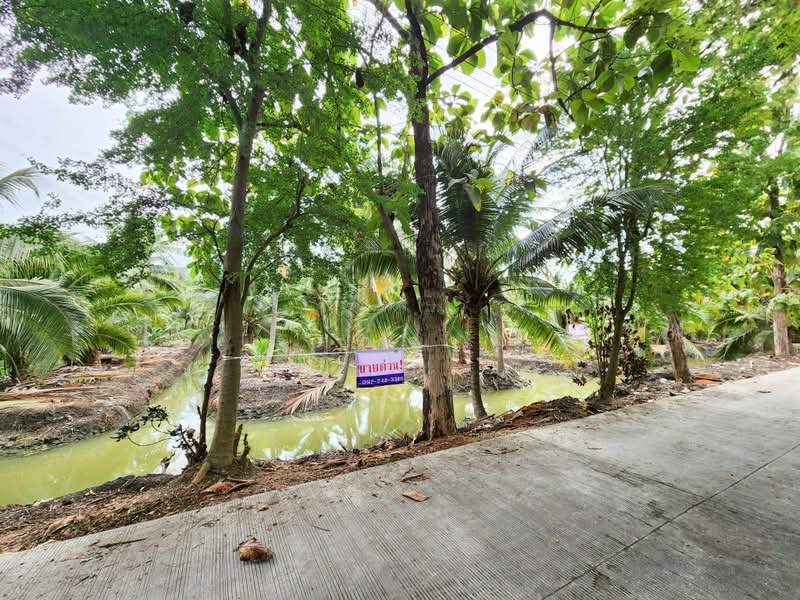 ขายด่วน! ที่ดินพร้อมสวนมะพร้าวบ้านแพ้วกว่า 8 ไร่! ราคาดี ในหนองนกไข่ กระทุ่มแบน สมุทรสาคร, สมุทรสาคร, หนองนกไข่, กระทุ่มแบน, สมุทรสาคร, 13,698 ตร.ม., ที่ดิน ขาย, โดย คุณจา, 60123084 - DDproperty.com