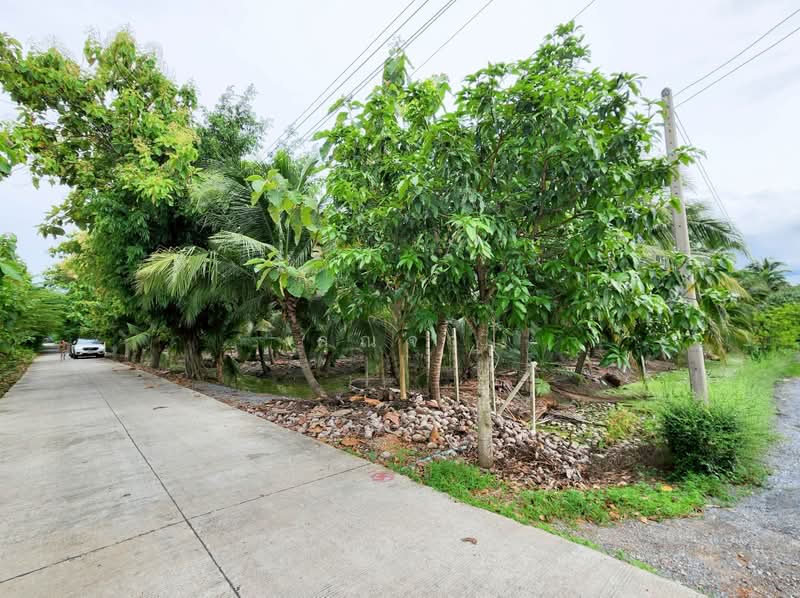 ขายด่วน! ที่ดินพร้อมสวนมะพร้าวบ้านแพ้วกว่า 8 ไร่! ราคาดี ในหนองนกไข่ กระทุ่มแบน สมุทรสาคร, สมุทรสาคร, หนองนกไข่, กระทุ่มแบน, สมุทรสาคร, 13,698 ตร.ม., ที่ดิน ขาย, โดย คุณจา, 60123084 - DDproperty.com