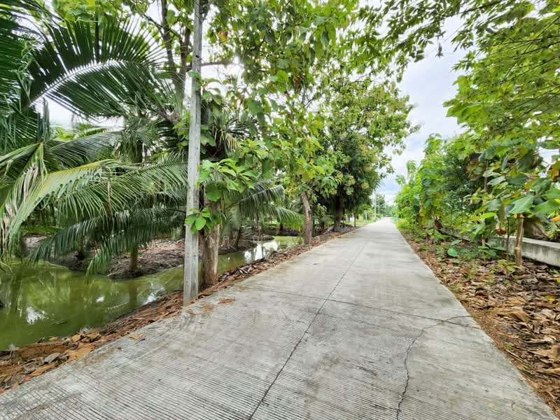 ขายด่วน! ที่ดินพร้อมสวนมะพร้าวบ้านแพ้วกว่า 8 ไร่! ราคาดี ในหนองนกไข่ กระทุ่มแบน สมุทรสาคร, สมุทรสาคร, หนองนกไข่, กระทุ่มแบน, สมุทรสาคร, 13,698 ตร.ม., ที่ดิน ขาย, โดย คุณจา, 60123084 - DDproperty.com