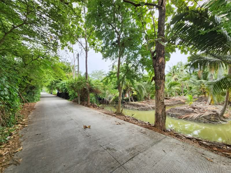 ขายด่วน! ที่ดินพร้อมสวนมะพร้าวบ้านแพ้วกว่า 8 ไร่! ราคาดี ในหนองนกไข่ กระทุ่มแบน สมุทรสาคร, สมุทรสาคร, หนองนกไข่, กระทุ่มแบน, สมุทรสาคร, 13,698 ตร.ม., ที่ดิน ขาย, โดย คุณจา, 60123084 - DDproperty.com