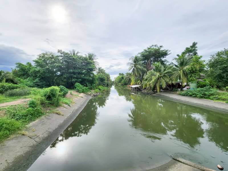 ขายด่วน! ที่ดินพร้อมสวนมะพร้าวบ้านแพ้วกว่า 8 ไร่! ราคาดี ในหนองนกไข่ กระทุ่มแบน สมุทรสาคร, สมุทรสาคร, หนองนกไข่, กระทุ่มแบน, สมุทรสาคร, 13,698 ตร.ม., ที่ดิน ขาย, โดย คุณจา, 60123084 - DDproperty.com