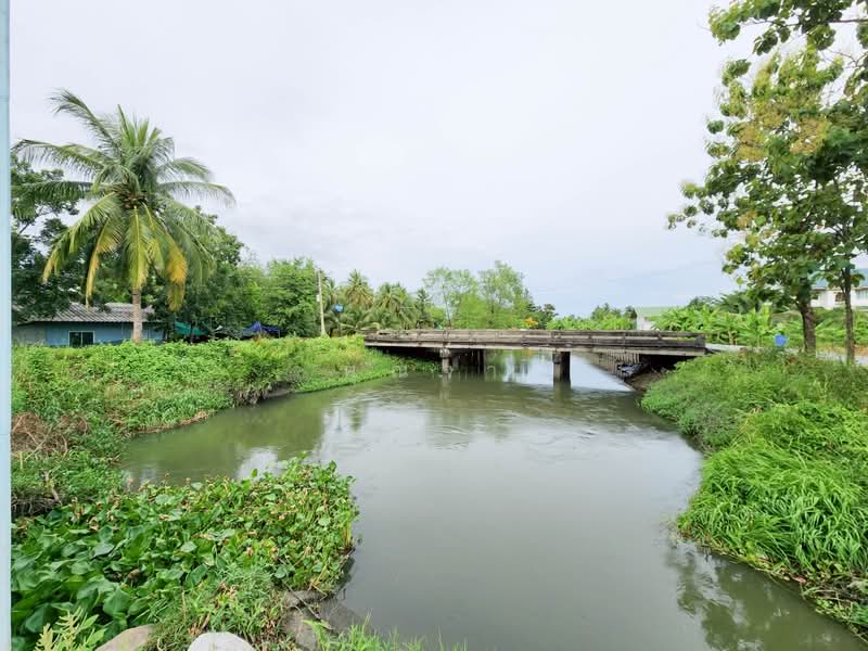 ขายด่วน! ที่ดินพร้อมสวนมะพร้าวบ้านแพ้วกว่า 8 ไร่! ราคาดี ในหนองนกไข่ กระทุ่มแบน สมุทรสาคร, Samut Sakhon, Nong Nok Khai, Krathum Baen, Samut Sakhon, , 13,698 sqm, Land For Sale, by คุณจา, 60123084 - DDproperty.com