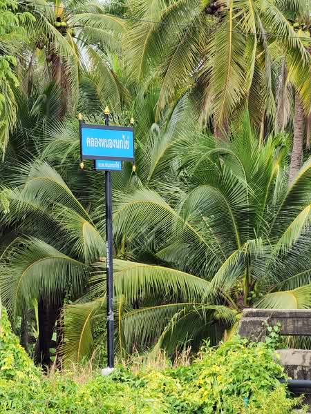 ขายด่วน! ที่ดินพร้อมสวนมะพร้าวบ้านแพ้วกว่า 8 ไร่! ราคาดี ในหนองนกไข่ กระทุ่มแบน สมุทรสาคร, สมุทรสาคร, หนองนกไข่, กระทุ่มแบน, สมุทรสาคร, 13,698 ตร.ม., ที่ดิน ขาย, โดย คุณจา, 60123084 - DDproperty.com