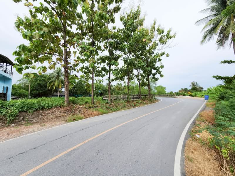 ขายด่วน! ที่ดินพร้อมสวนมะพร้าวบ้านแพ้วกว่า 8 ไร่! ราคาดี ในหนองนกไข่ กระทุ่มแบน สมุทรสาคร, สมุทรสาคร, หนองนกไข่, กระทุ่มแบน, สมุทรสาคร, 13,698 ตร.ม., ที่ดิน ขาย, โดย คุณจา, 60123084 - DDproperty.com