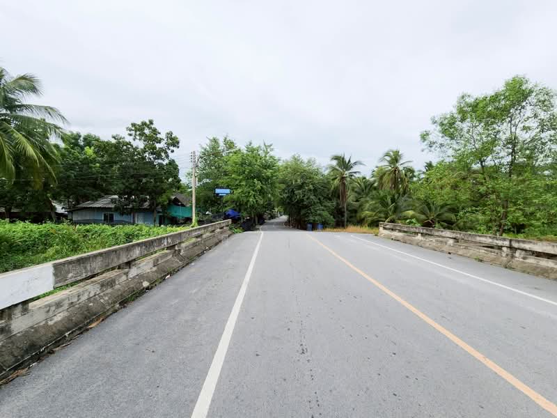 ขายด่วน! ที่ดินพร้อมสวนมะพร้าวบ้านแพ้วกว่า 8 ไร่! ราคาดี ในหนองนกไข่ กระทุ่มแบน สมุทรสาคร, Samut Sakhon, Nong Nok Khai, Krathum Baen, Samut Sakhon, , 13,698 sqm, Land For Sale, by คุณจา, 60123084 - DDproperty.com