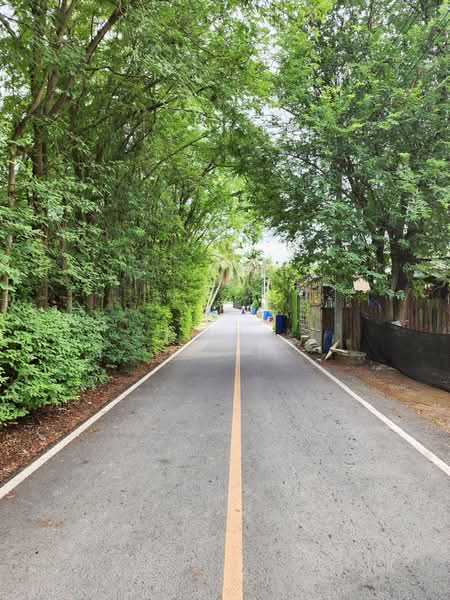 ขายด่วน! ที่ดินพร้อมสวนมะพร้าวบ้านแพ้วกว่า 8 ไร่! ราคาดี ในหนองนกไข่ กระทุ่มแบน สมุทรสาคร, สมุทรสาคร, หนองนกไข่, กระทุ่มแบน, สมุทรสาคร, 13,698 ตร.ม., ที่ดิน ขาย, โดย คุณจา, 60123084 - DDproperty.com