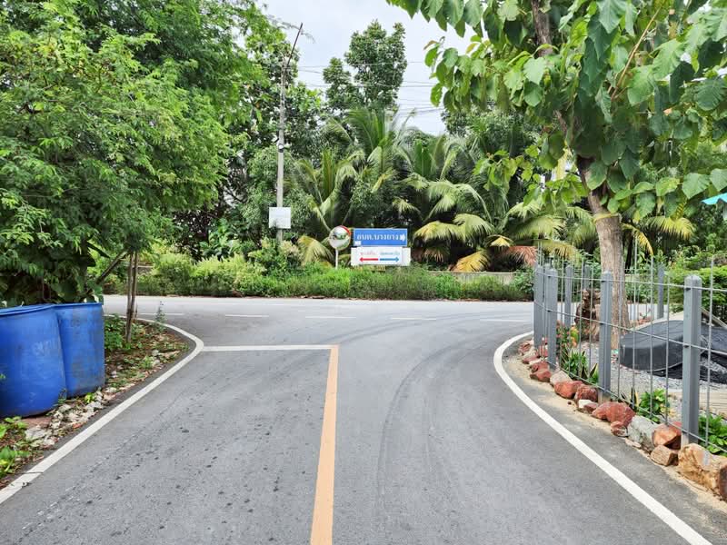 ขายด่วน! ที่ดินพร้อมสวนมะพร้าวบ้านแพ้วกว่า 8 ไร่! ราคาดี ในหนองนกไข่ กระทุ่มแบน สมุทรสาคร, Samut Sakhon, Nong Nok Khai, Krathum Baen, Samut Sakhon, , 13,698 sqm, Land For Sale, by คุณจา, 60123084 - DDproperty.com