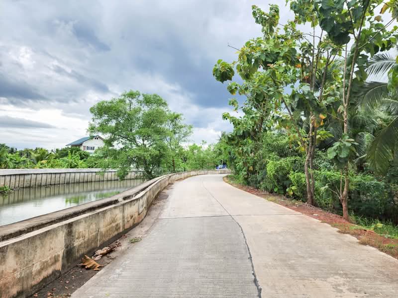 ขายด่วน! ที่ดินพร้อมสวนมะพร้าวบ้านแพ้วกว่า 8 ไร่! ราคาดี ในหนองนกไข่ กระทุ่มแบน สมุทรสาคร, สมุทรสาคร, หนองนกไข่, กระทุ่มแบน, สมุทรสาคร, 13,698 ตร.ม., ที่ดิน ขาย, โดย คุณจา, 60123084 - DDproperty.com