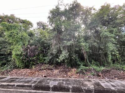 ขาย - เอเวอร์กรีน ซิตี้, กรุงเทพ