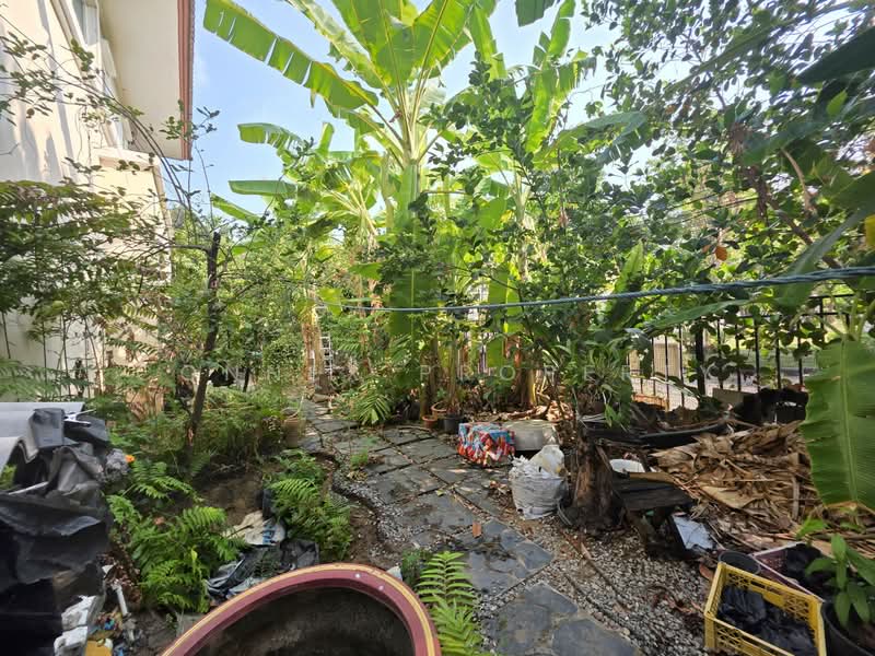 TARA Ratchaphruek-Pinklao, Nonthaburi, Plai Bang Road, Mahasawat, Bang Kruai, Nonthaburi, 4 Bedrooms, 210 sqm, Single Detached House For Sale, by Connex Property, 60124162 - DDproperty.com